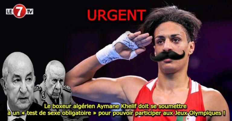 Capture-decran-2025-05-31-133041.jpg
