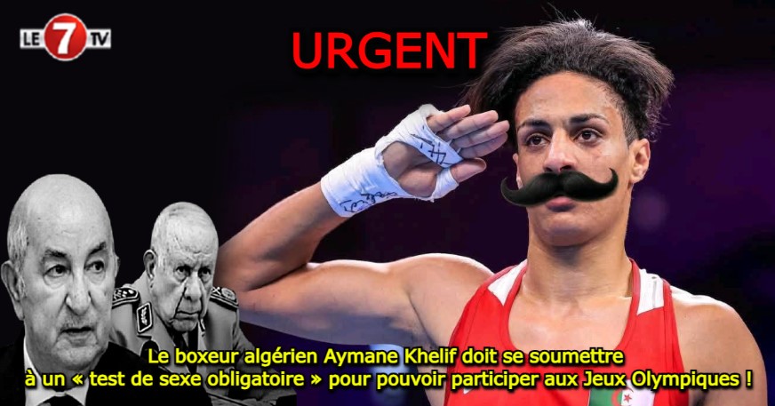 Capture-decran-2025-05-31-133041.jpg