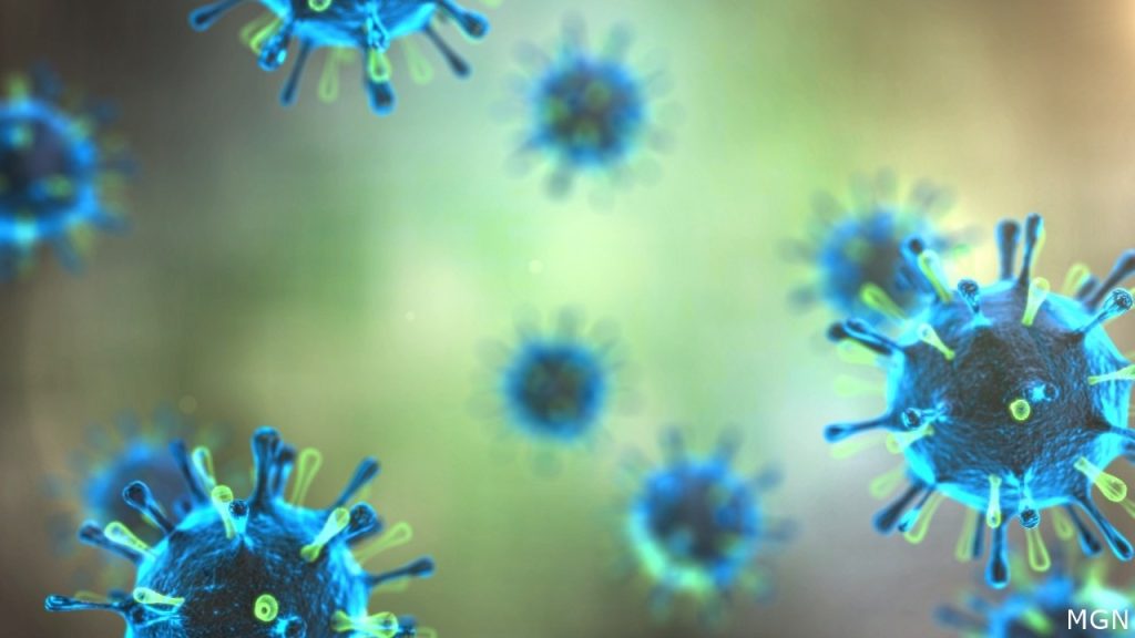 VirusHealthMeasles.jpg