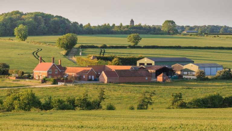 farmstead-c-tim-scrivener-362023_0039-1024x577.jpg