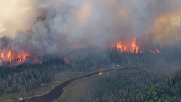 skynews-canada-wildfires_6932769.jpg